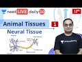NEET Biology: Animal Tissues - L1 | Class 11 | Live Daily 2.0 | Unacademy NEET | Sachin Sir