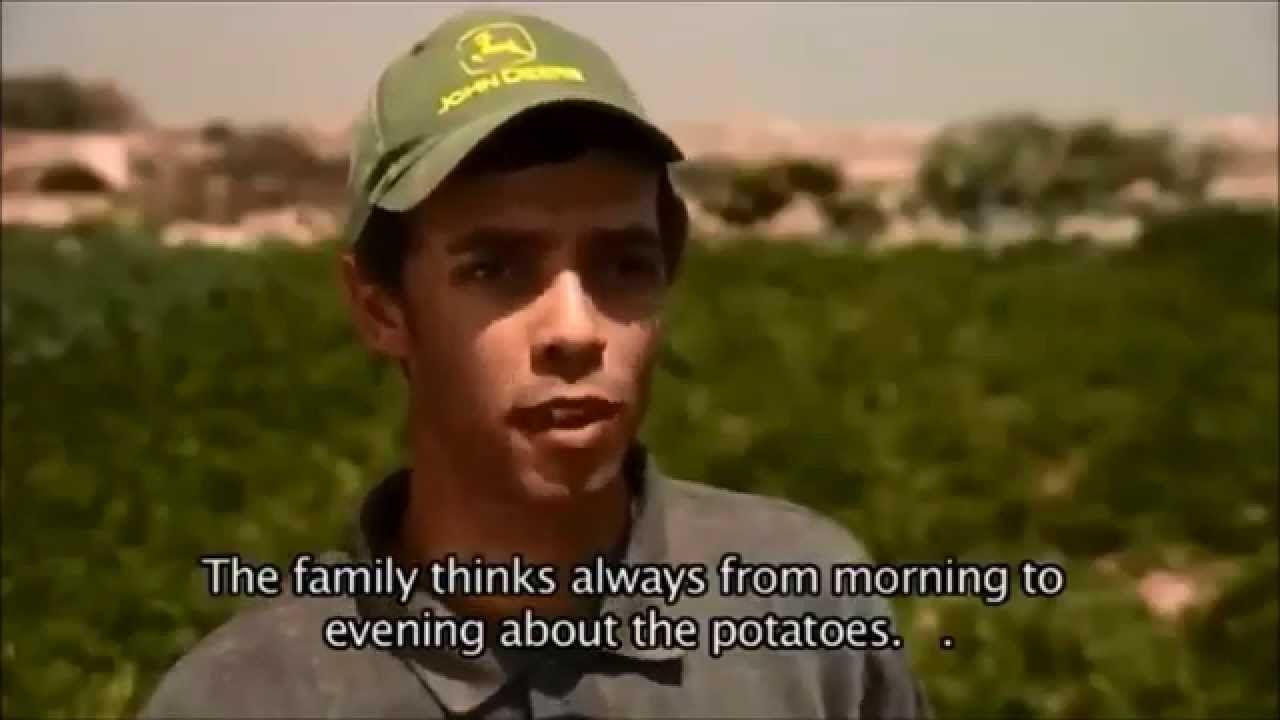 My life is potato Irish Cover YouTube