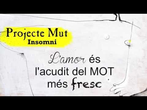 Insomni Video