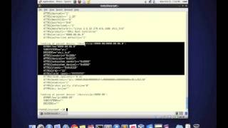 使用udev修改设备默认名称 [LinuxCast IT播客]