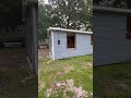 Old Pet hotel pensacola florida #abandoned #demolition