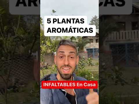 Video: Consejos para pellizcar y cosechar plantas aromáticas