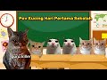 Pov Kucing Hari Pertama Sekolah | meme kucing | #pop #meme #cat #kucing