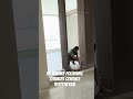 SR MARBLE POLISHING SERVICES