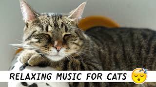 MUSIC THAT CATS LIKE - Relaxing sounds for cats