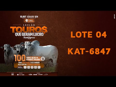LOTE 04   KAT 6847