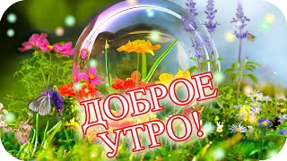 Доброго Утра!🌸 Прекрасного Дня!🌸 Любви, Здоровья И Добра! 🌸Good Morning🌸