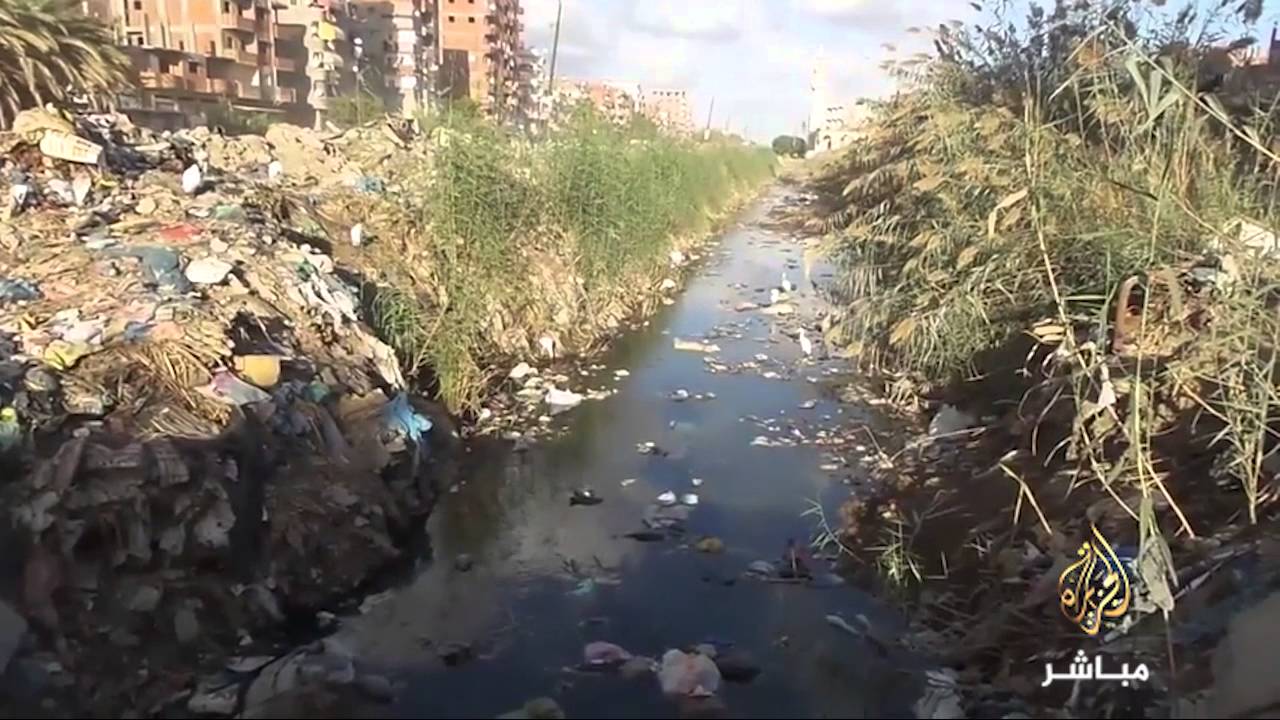 #شاهد ..  كارثة تضرب الأراضى الزراعية  بمنطقة العوايد #الاسكندرية