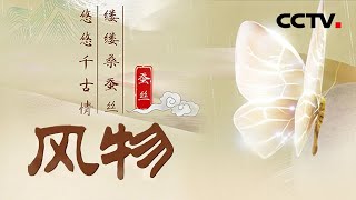 蚕丝奥秘知多少？唯美纪录片《风物：蚕丝》带你去看一场蚕宝宝的跨时空旅行 | CCTV「风物」20220806