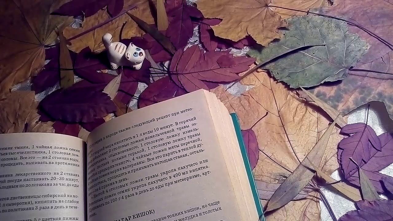 Метеоризм (вздутие кишечника) - лечение. - YouTube