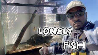 Trolling To Catch A Pet For My Aquarium Basssniperscooter