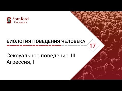 Биология поведения человека: Лекция #17. Сексуальное поведение, III;  Агрессия, I [Роберт Сапольски]