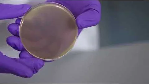 Behind the Scenes | Pre-Poured Plate Manufacturing