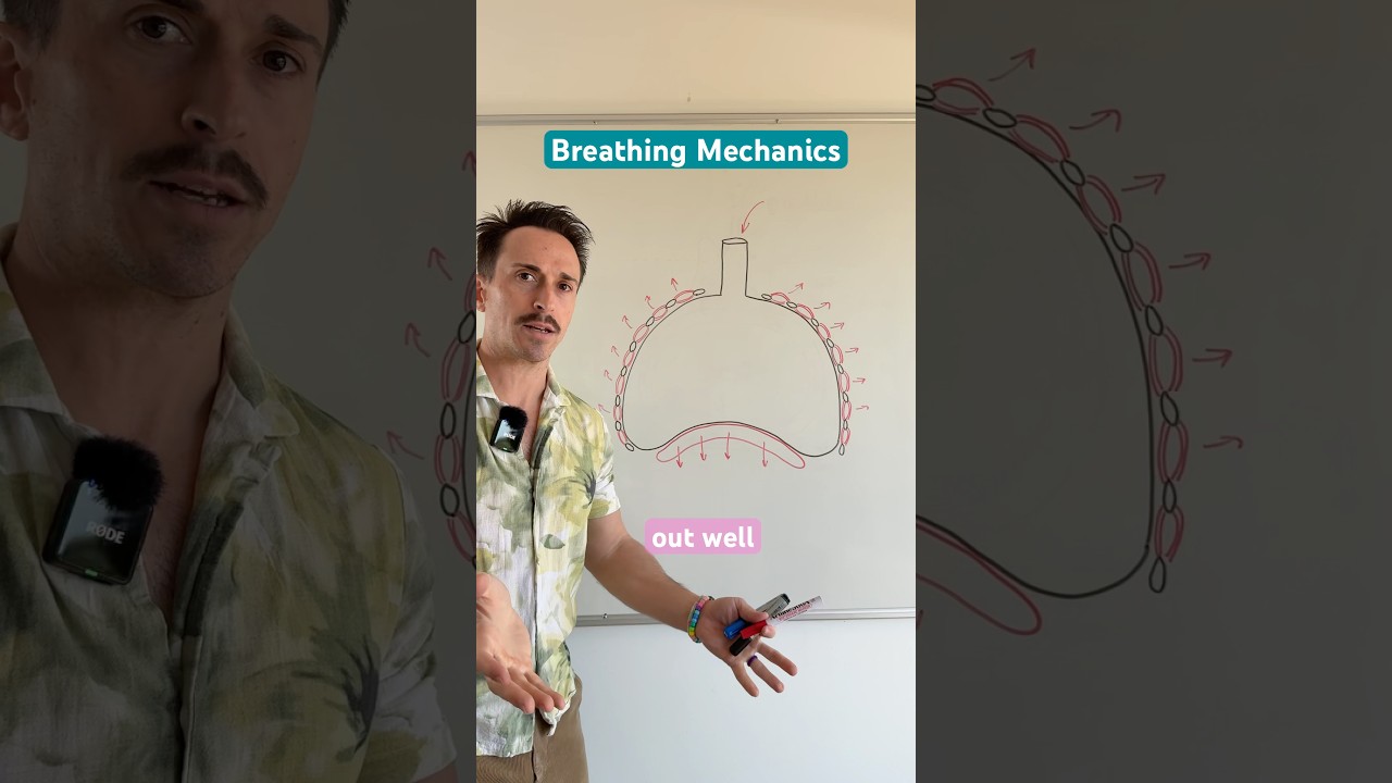 Breathing Mechanics