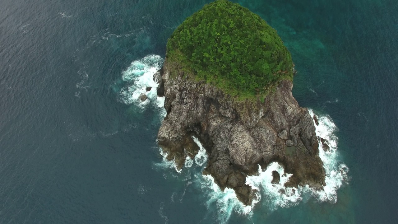 今里立神 - 奄美大島 大和村
