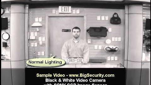 BigSecurity.com Black & White Video Camera with Sony CCD Image Sensor Sample Video