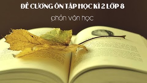 So sánh thể cáo và thể hịch năm 2024