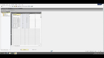 SAP FI - Maintain Fiscal Year Variant