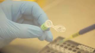 Modelling and Computation for Micro-organisms in Bioprocesses in short