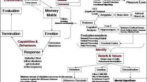 Thought process models: NLP to the Three Principles and back.