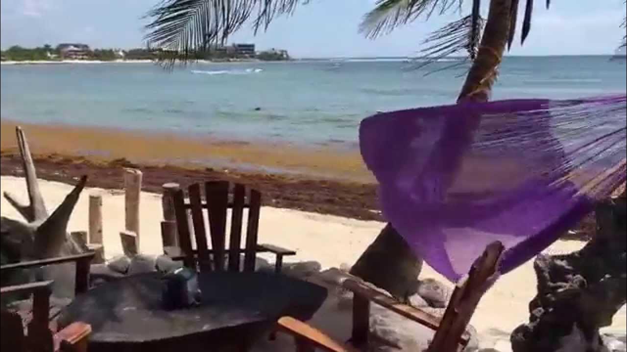 La Buena Vida Restaurant and Bar in Akumal Mexico by