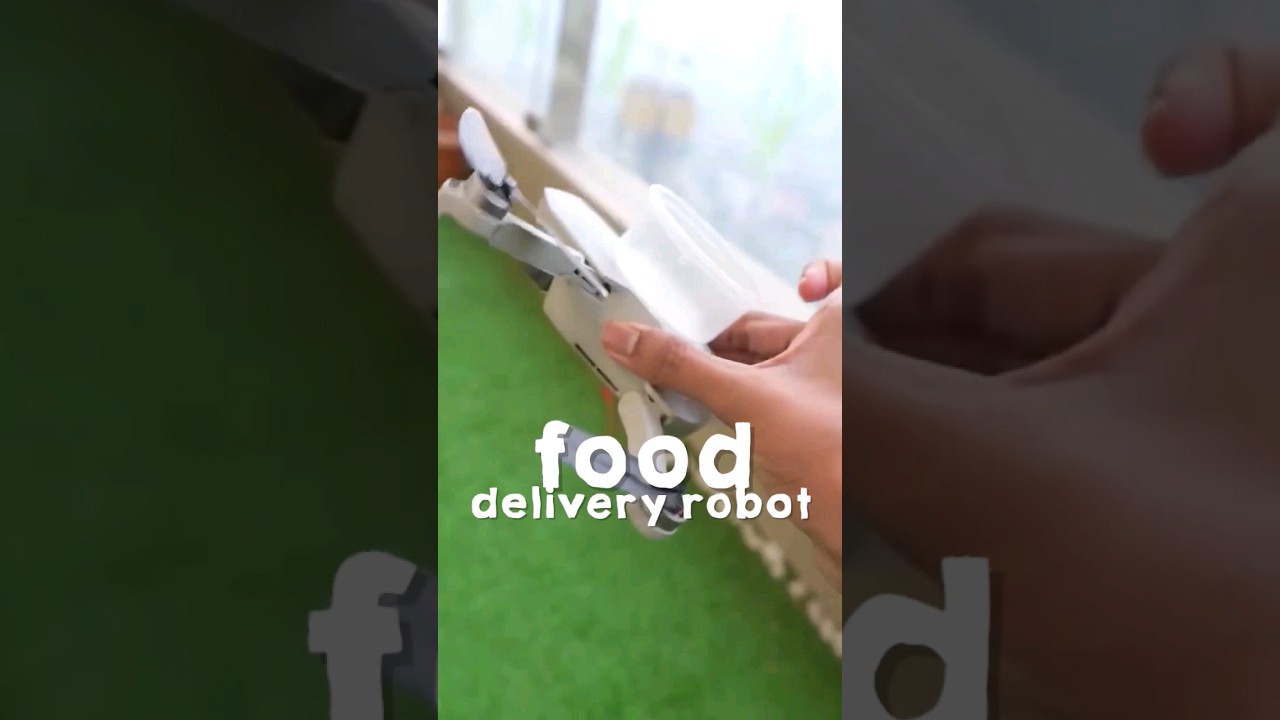 Food Delivery Robot ?