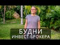 Как думает инвестор: будни брокера без прикрас