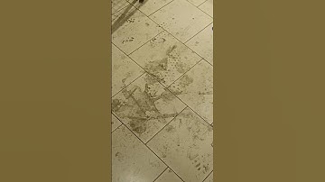 Disgusting floor next to reverse vending machines (Lidl Discounter) 🔊🆙🤢