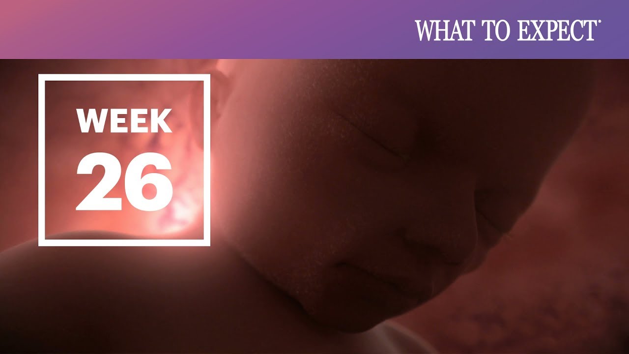 25 Weeks Pregnant What To Expect Your 25th Week Of Pregnancy Youtube