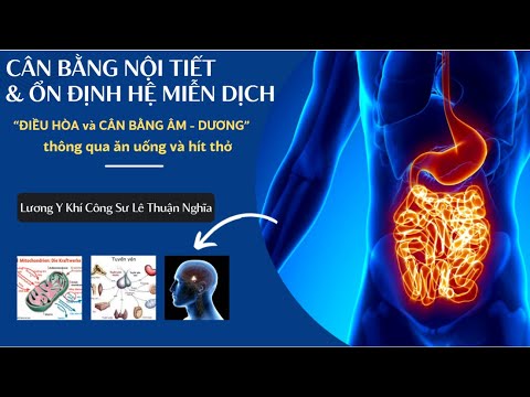 Video Cân bằng Nội Tiết và ổn định Hệ Miễn Dịch (Điều hòa và... - YouTube
