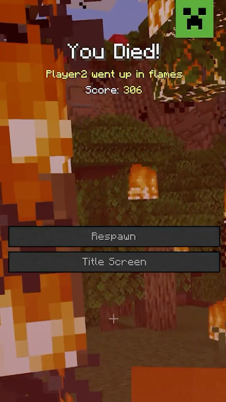 MINECRAFT DEATH MESSAGE SONG