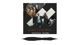 Video thumbnail of "If "Kdei Lehodos" by Mordechai Shapiro was on the radio"