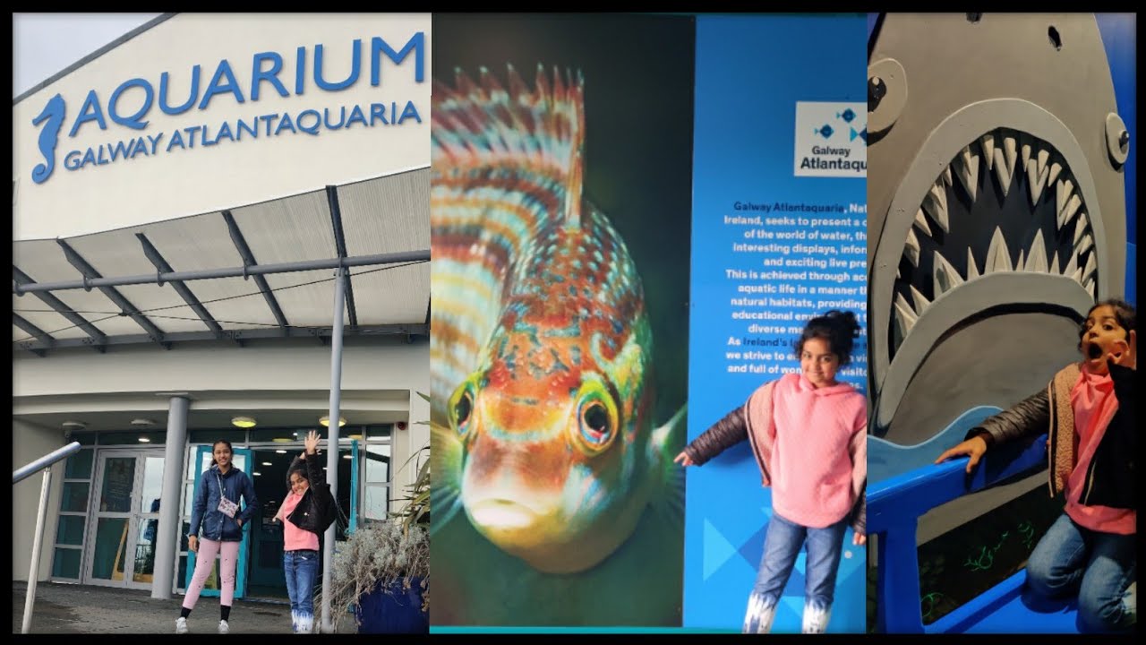 Aquarium Atlantaquaria Galway - Travel Diary