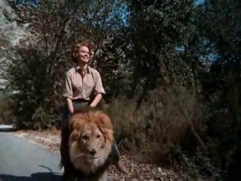 Daktari (Intro) S1 (1966)