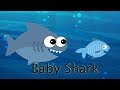 Baby shark