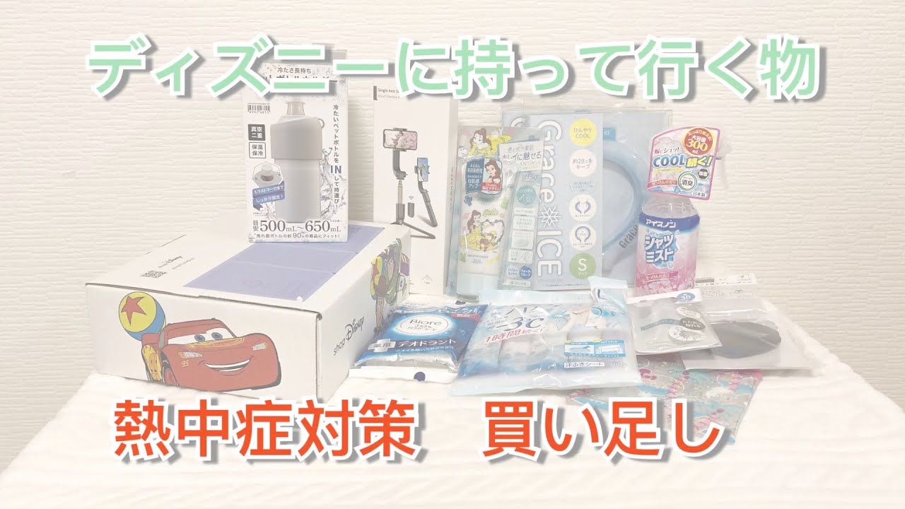 夏ディズニーに持って行く物 セリア ディズニーストア 買い足し購入品紹介 熱中症対策 Youtube