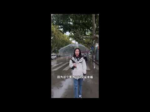 漫步秋天的小雨中，感受浪漫秋天的婚礼，主持人怎么说？关于秋天你喜欢的理由是什么？评论区留言哦～