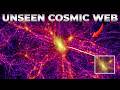 The Cosmic Web: The Largest Structure in the Universe
