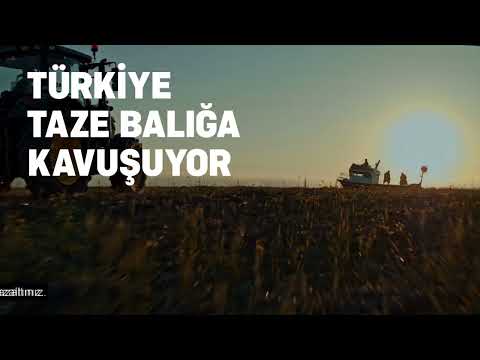 Türkiye Taze Balığa Kavuşuyor! - Türkiye Taze Balığa Kavuşuyor!
