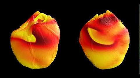 Simulation of electrical activity in the heart during fibrillation (with comparison with experiment)