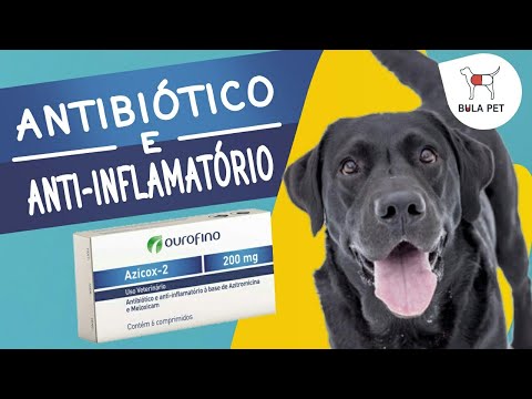 Vídeo: Doença Muscular Metabólica Sem Inflamação Em Cães