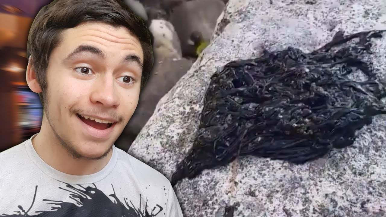 VENOM IN REAL LIFE ! YouTube