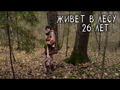 Видео: Почему отшельники едят золотую морковь?