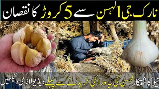 The Untold⛔️Truth😱About G1🧄Garlic Price in Pakistan 2023| g1 garlic future