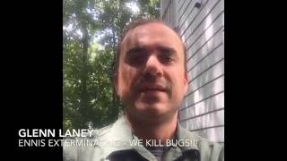 Bug & Pest Reduction Tip - Fayetteville Georgia Termite and Pest Control, Ennis Exterminating