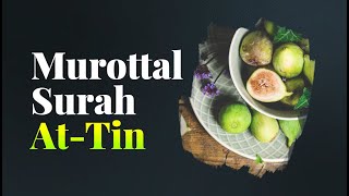 Murottal Surah At-Tien - Ustadz Dzikru Rahman, Lc