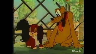 Pluto And Fifi Loves True Licks Pluto Licks Fifi Disney Home Video 1987
