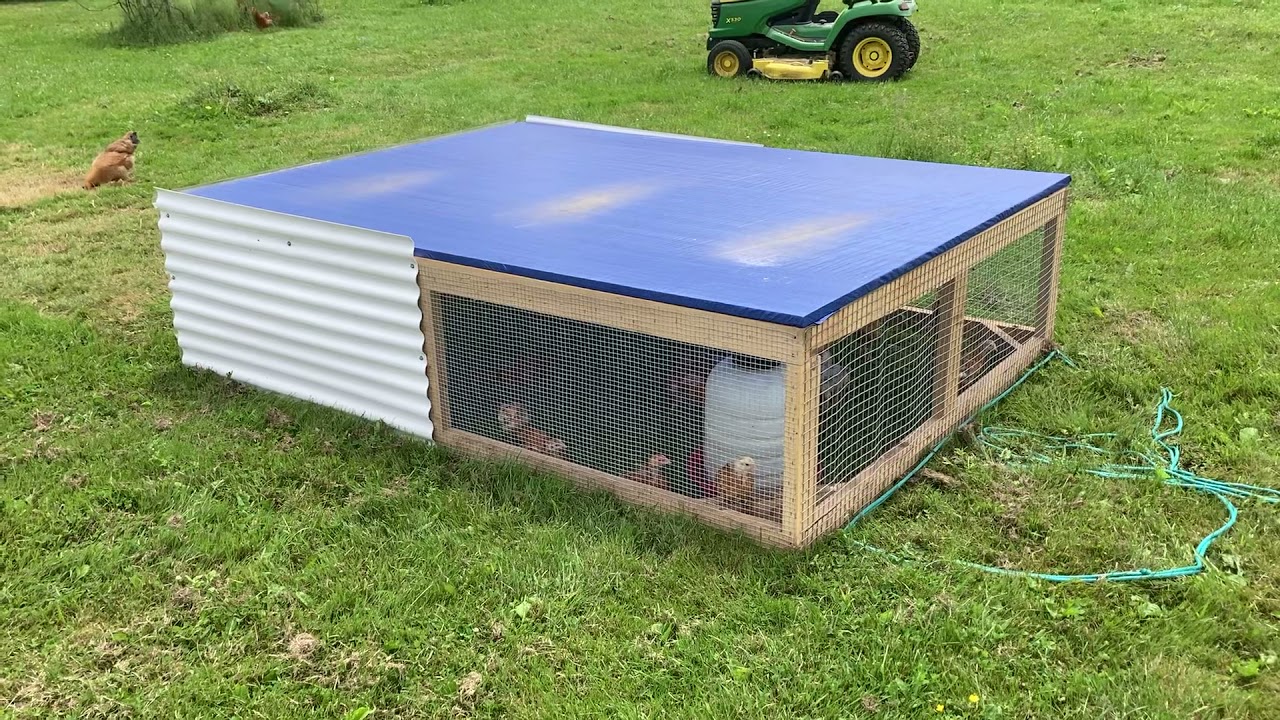 Wood from a Amish saw mill makes a cheap Chicken Tractor 6’x8’