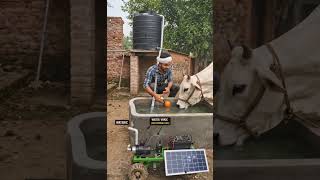 Gaay ka Paani Auto Fill! 😳💧 Desi Jugaad Robot ne Kar Di Farming Smart 🚜🔥 #desijugaad #10millionviews