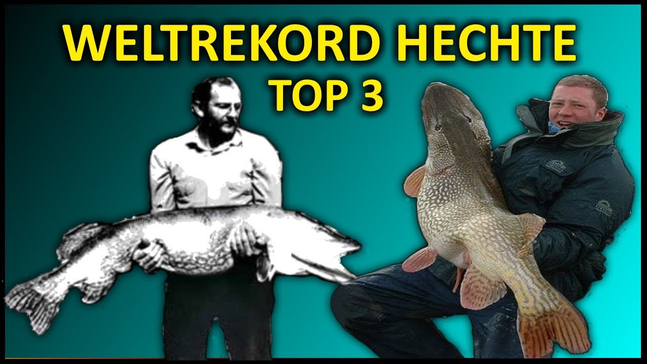 Top 3 Weltrekord HECHTE| 30,4 KG HECHT! - YouTube